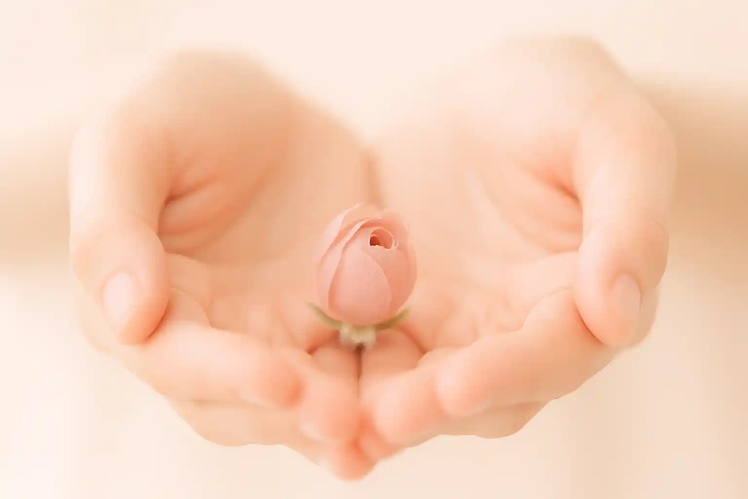 IVF + PGT-A による男女産み分けとは — 仕組み・適応・現実的な見通し
